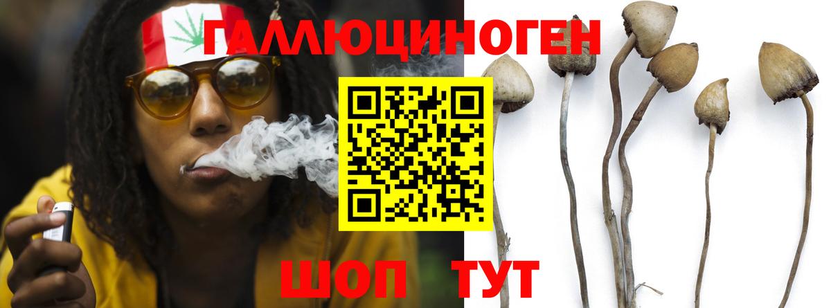 Галлюциногенные грибы ЛСД  Вход с VPN  Донецк 